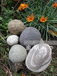逾期10来次可以按揭买车吗 逾期10来次可以按揭买车吗