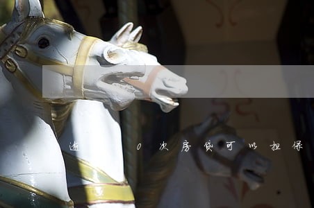 逾期10次房贷可以担保 逾期10次房贷可以担保