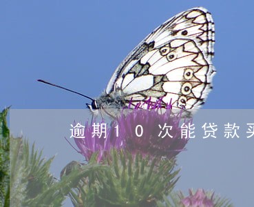 逾期10次能贷款买房吗 逾期10次能贷款买房吗