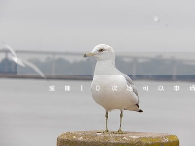 逾期10次还可以申请房贷吗 逾期10次还可以申请房贷吗