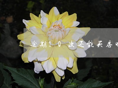 逾期10次还能买房吗 逾期10次还能买房吗