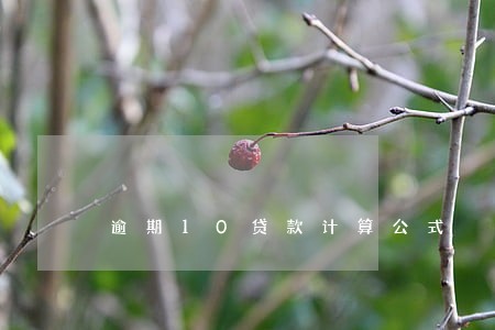 逾期10贷款计算公式 逾期10贷款计算公式