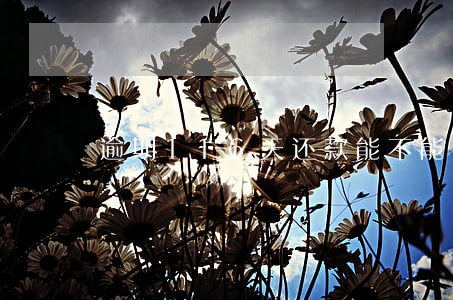 逾期116天还款能不能补救征信 逾期116天还款能不能补救征信