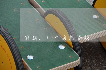 逾期11个月能贷款 逾期11个月能贷款