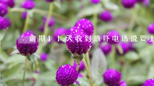 逾期11天收到恐吓电话说要上门 逾期11天收到恐吓电话说要上门