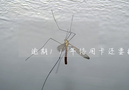 逾期11年信用卡还要换吗