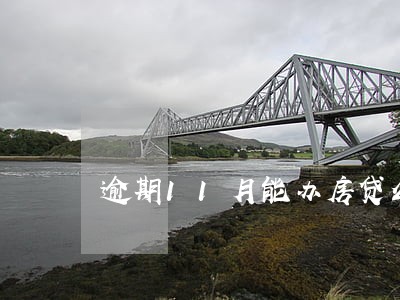 逾期11月能办房贷么 逾期11月能办房贷么
