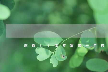 逾期11次不是同一个月同一张卡