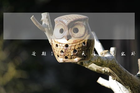 逾期120天以上怎么补救