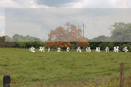 逾期120天信用卡解冻 逾期120天信用卡解冻