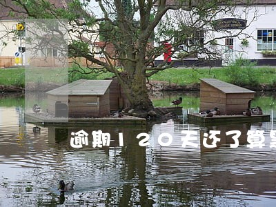 逾期120天还了算黑户吗 逾期120天还了算黑户吗
