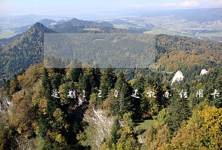 逾期120还能办信用卡 逾期120还能办信用卡