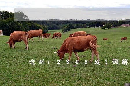 逾期12368发了调解信息