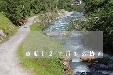 逾期12个月怎么协商 逾期12个月怎么协商