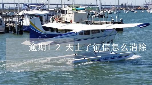 逾期12天上了征信怎么消除