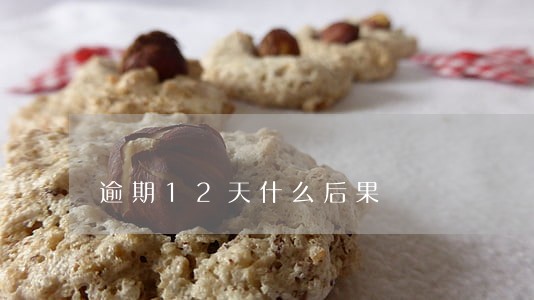 逾期12天什么后果 逾期12天什么后果