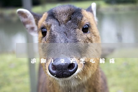 逾期12天怎么解除 逾期12天怎么解除