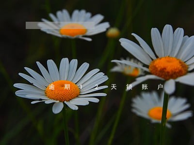 逾期12天锁账户 逾期12天锁账户