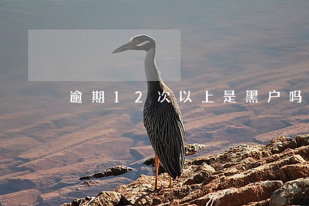 逾期12次以上是黑户吗 逾期12次以上是黑户吗