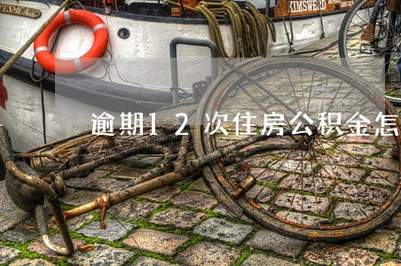 逾期12次住房公积金怎样贷 逾期12次住房公积金怎样贷