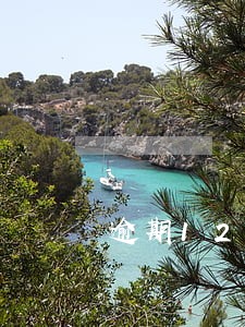 逾期12次已结清可以买房吗 逾期12次已结清可以买房吗