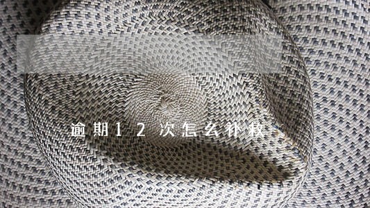 逾期12次怎么补救 逾期12次怎么补救