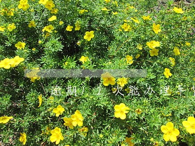 逾期12次能办理车贷吗 逾期12次能办理车贷吗