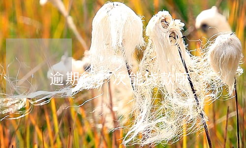 逾期12次能贷款嘛 逾期12次能贷款嘛
