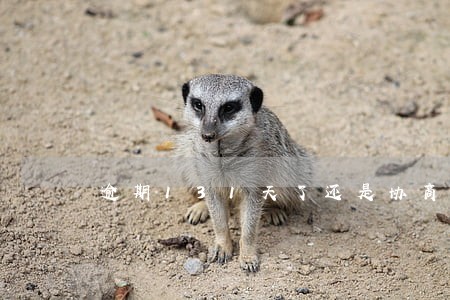 逾期131天了还是协商不了 逾期131天了还是协商不了
