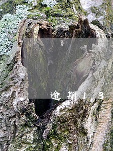 逾期13天会不会上征信 逾期13天会不会上征信