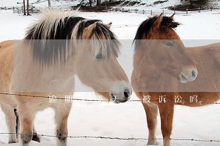 逾期13天会被诉讼吗 逾期13天会被诉讼吗