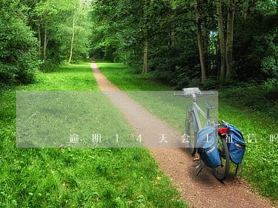 逾期14天会上征信吗 逾期14天会上征信吗