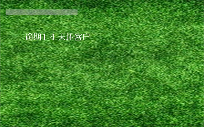 逾期14天坏客户