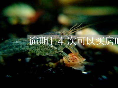 逾期14次可以买房吗 逾期14次可以买房吗