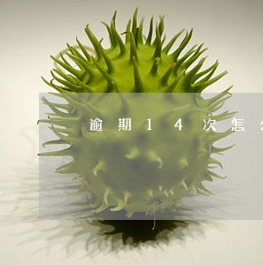 逾期14次怎么贷款利率 逾期14次怎么贷款利率