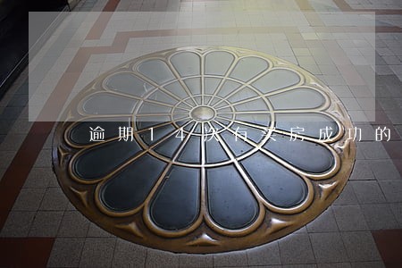 逾期14次有买房成功的吗 逾期14次有买房成功的吗