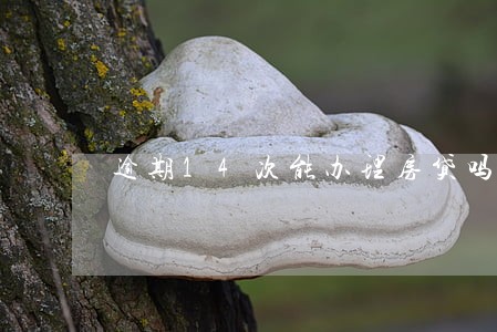 逾期14次能办理房贷吗 逾期14次能办理房贷吗