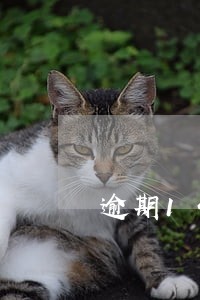 逾期14黑名单多久恢复 逾期14黑名单多久恢复