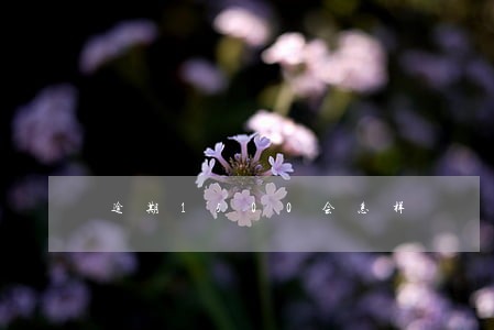 逾期1500会怎样 逾期1500会怎样