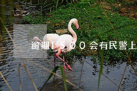 逾期1500会有民警上门取证吗 逾期1500会有民警上门取证吗