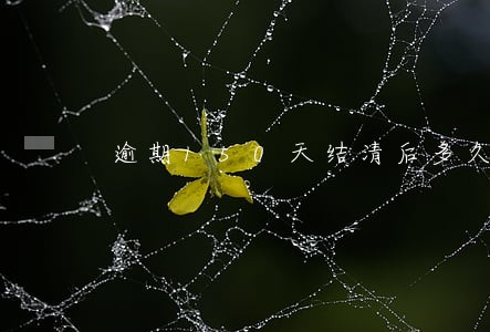 逾期150天结清后多久能贷款 逾期150天结清后多久能贷款