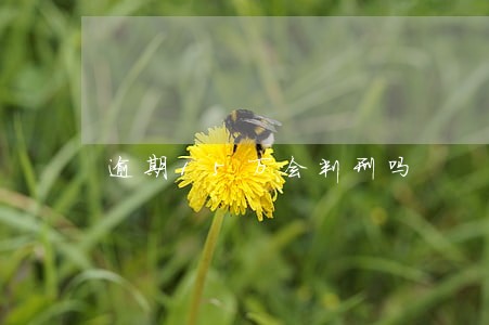 逾期15万会判刑吗 逾期15万会判刑吗