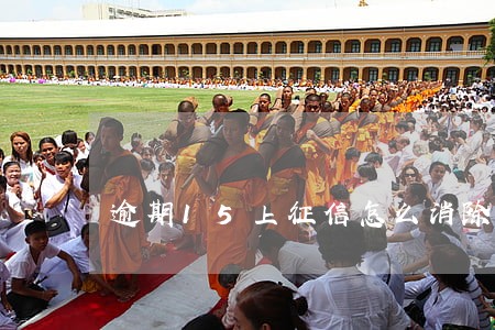 逾期15上征信怎么消除