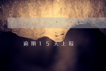 逾期15天上报 逾期15天上报