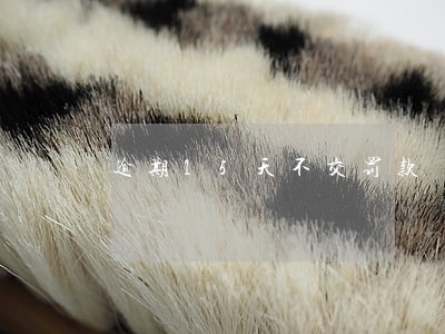 逾期15天不交罚款 逾期15天不交罚款