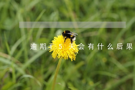 逾期15天会有什么后果 逾期15天会有什么后果