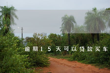 逾期15天可以贷款买车吗 逾期15天可以贷款买车吗