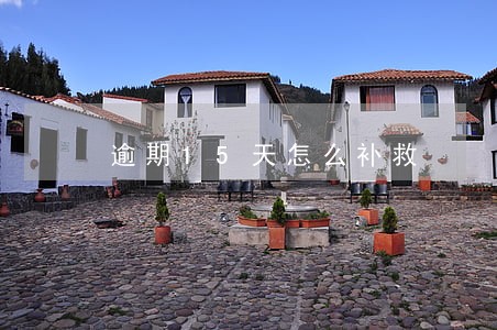 逾期15天怎么补救 逾期15天怎么补救