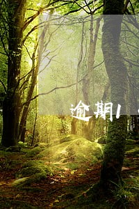 逾期15天支付租金违约 逾期15天支付租金违约