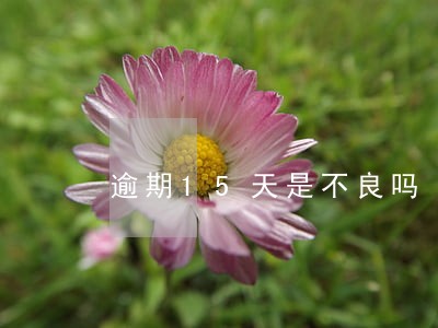 逾期15天是不良吗 逾期15天是不良吗
